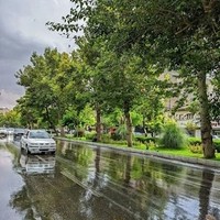 تالار عدل