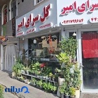 گل سرای امیر