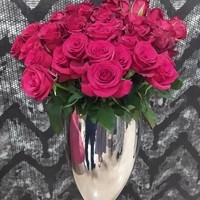 کلینیک اپلاسیون سایا