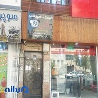 کلینیک دامپزشکی روژان