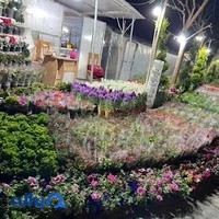 باغ گل سادات