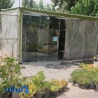 گل فروشی آب و آفتاب