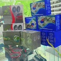 دزدگیر برزنونی