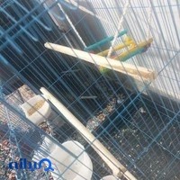 فروشگاه پرندگان سیلور