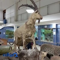 موزه تاریخ طبیعی گیلان