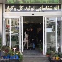 گلفروشی گلستان تک