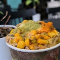 آبمیوه بستنی رایکا