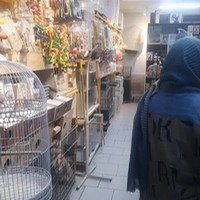 پرنده فروشی دایی