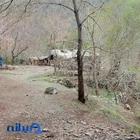 قهوه خانه جواد
