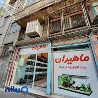 ماهيران