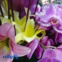 گلفروشی سینا