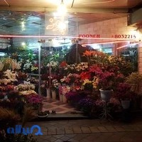 گلفروشی پونه