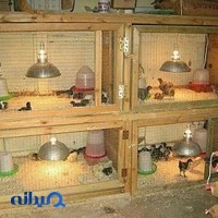 داروخانه دامپزشکی دکتر اکبری