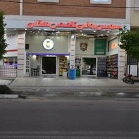 اتو سرویس آریا