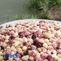 مجموعه پذيرايي تالار الغدير
