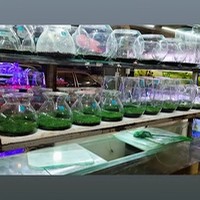 آکواریوم برکه