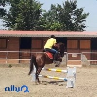 باشگاه سوارکاری ستارگان