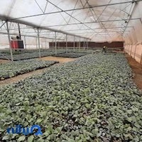 مرکز گل و گیاه زینتی شهرداری قم