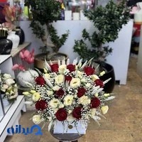 گلسرای اریکا