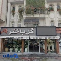 گل باختر