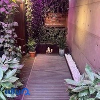 مرکز ماساژ و اسپای نیلوفر آبی