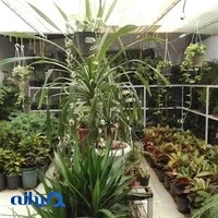 پخش گل و گیاه شهرگل