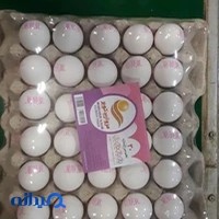 دفتر شرکت بازرگانی مروارید کویر