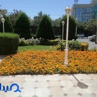 شهرداری منطقه ٢
