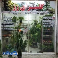 گلسرای رز