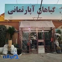 بازار گل و گیاه غرب تهران
