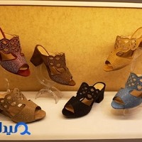 تولیدی کیف و کفش دلارک
