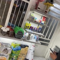 کلینیک دامپزشکی پردیسان