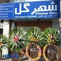 فروشگاه شهر گل