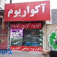 ماهی و آکواریوم