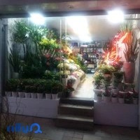 گلفروشی پیومی