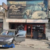 رادیو پخش ردلاین