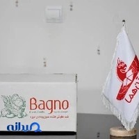 کارتن سازی هما