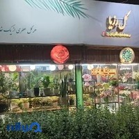 گل رزیا