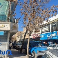 حسینیه و کتابخانه حضرت زینب (س)