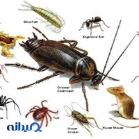 سم پاشی ایمن سبز محیط پاسارگاد