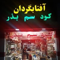 آفتابگردان