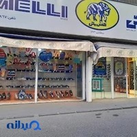 کفش ملی