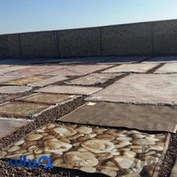 قالیشویی برند مشهد