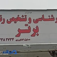 تشخیص رنگ برتر