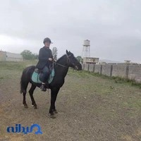 باشگاه سوارکاری ساوالان