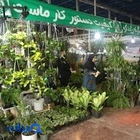 گلسرای ژینکو