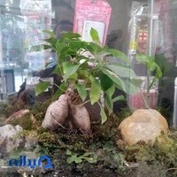 مصالح ساختمانی عماد