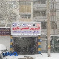 اتو سرویس تخصصی ملایری