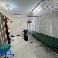 فیزیوتراپی ناب