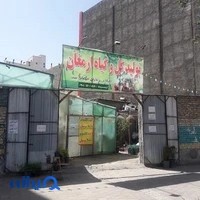 تولید گل و گیاه ارمغان